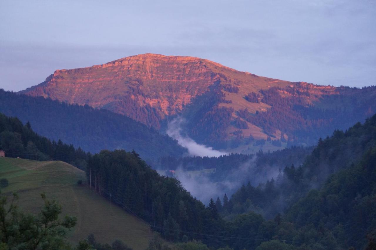 Haus Hochgrat Appartement Oberstaufen Buitenkant foto